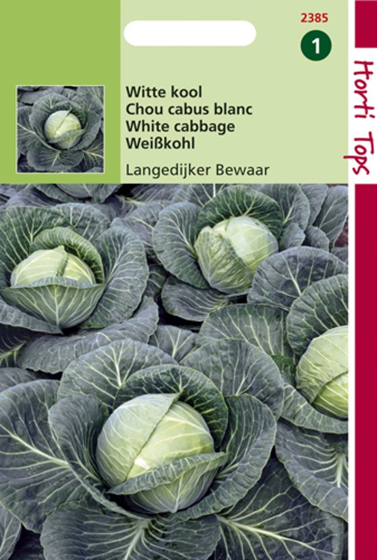 White Cabbage Langedijk (Brassica oleracea) 600 seeds